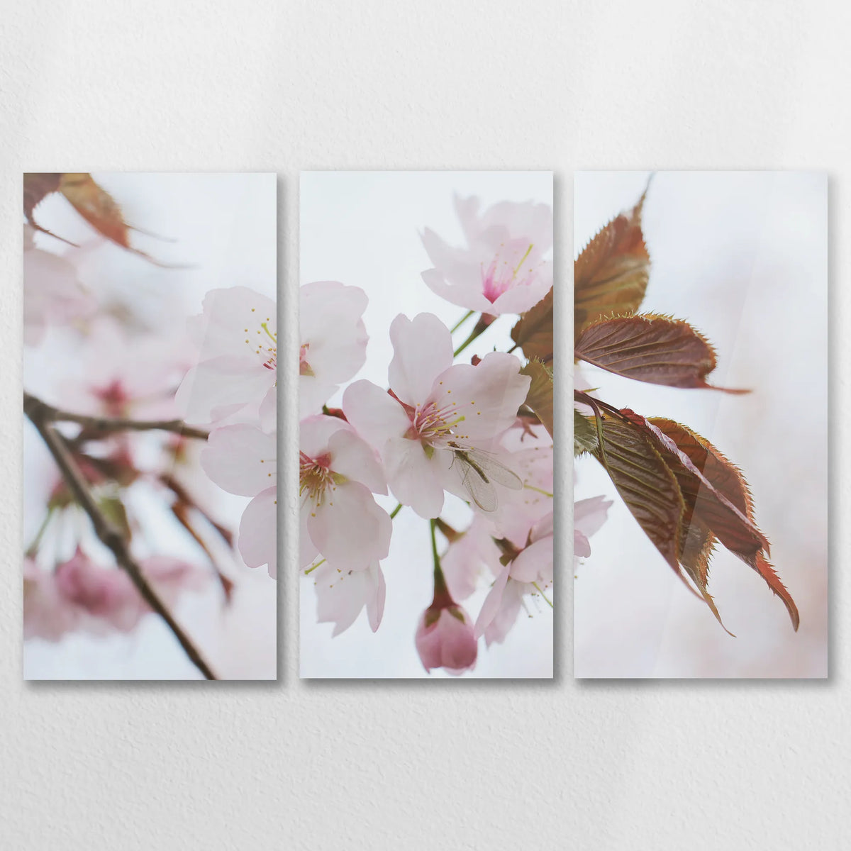 AC-090R060