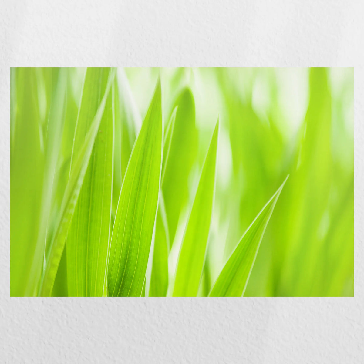 PO-060W040