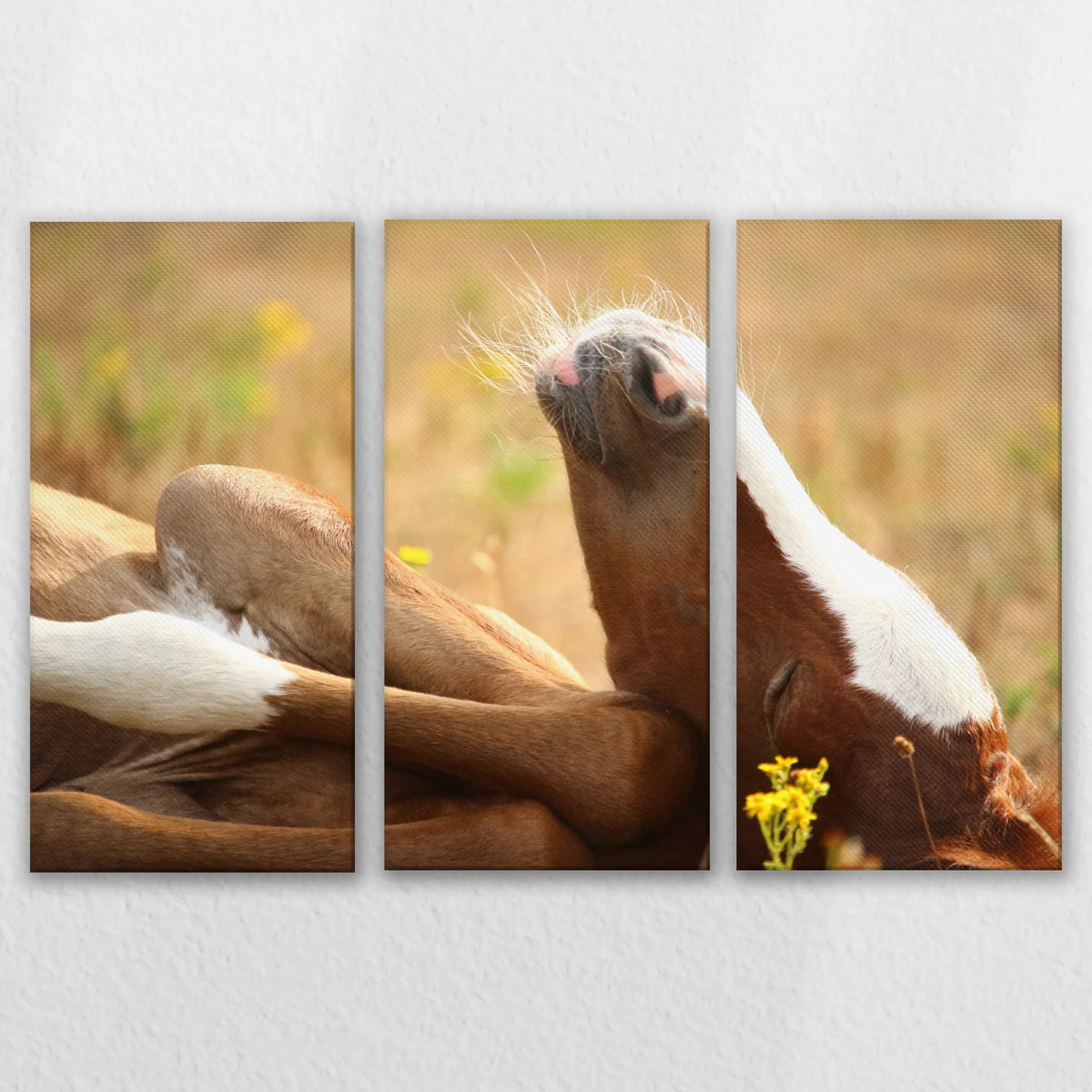 LW-150R100