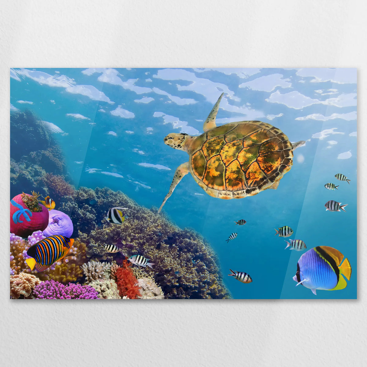 AC-120W080