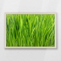 PN-060W040
