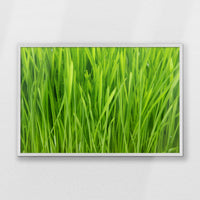 PW-093W062