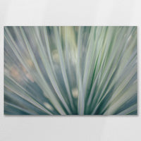 AL-075W050
