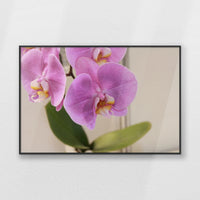 PB-093W062