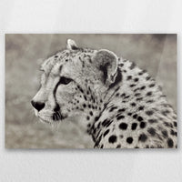 AC-060W040