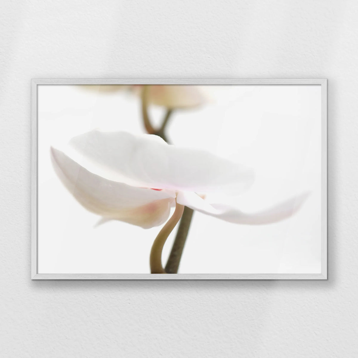 PW-093W062