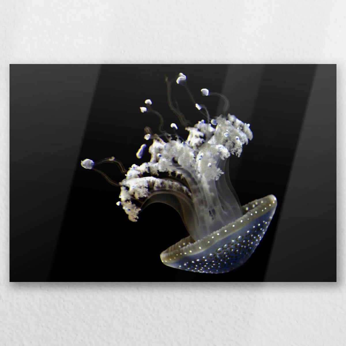 AL-060W040
