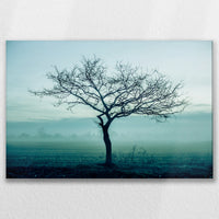 LW-075W050