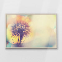 PN-093W062