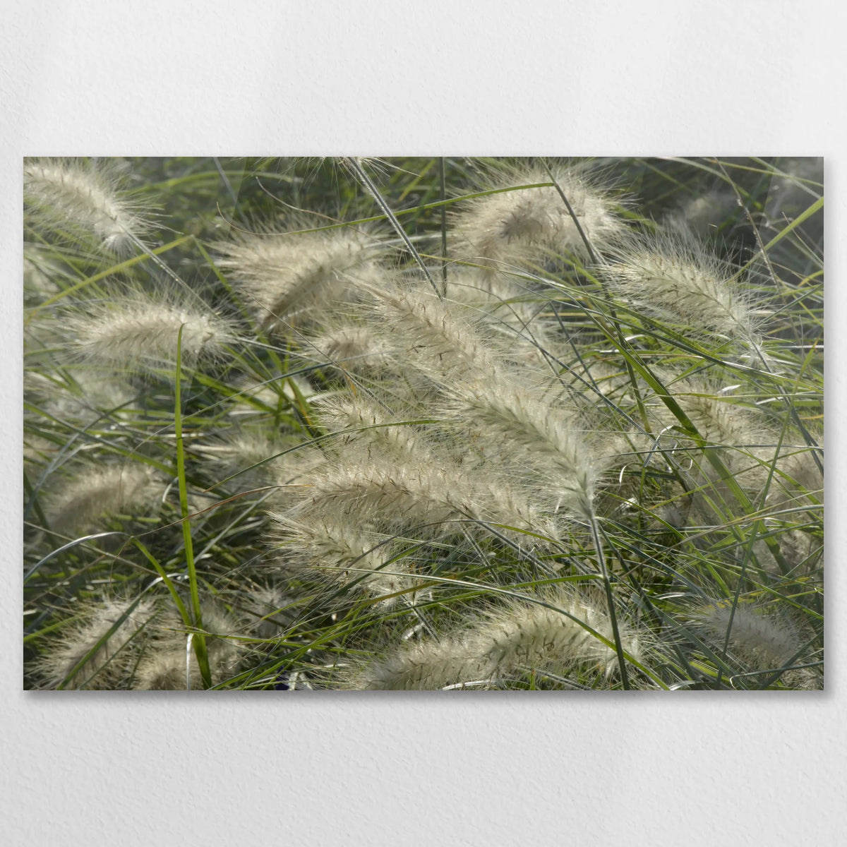 AC-075W050