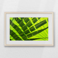 PNP060W040