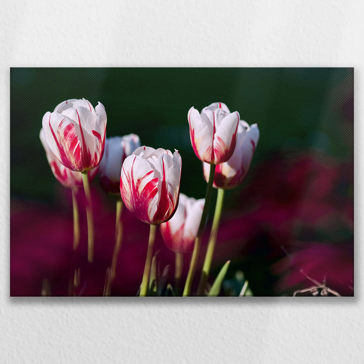 LW-090W060