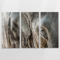 AL-150R100