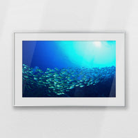 PSP093W062