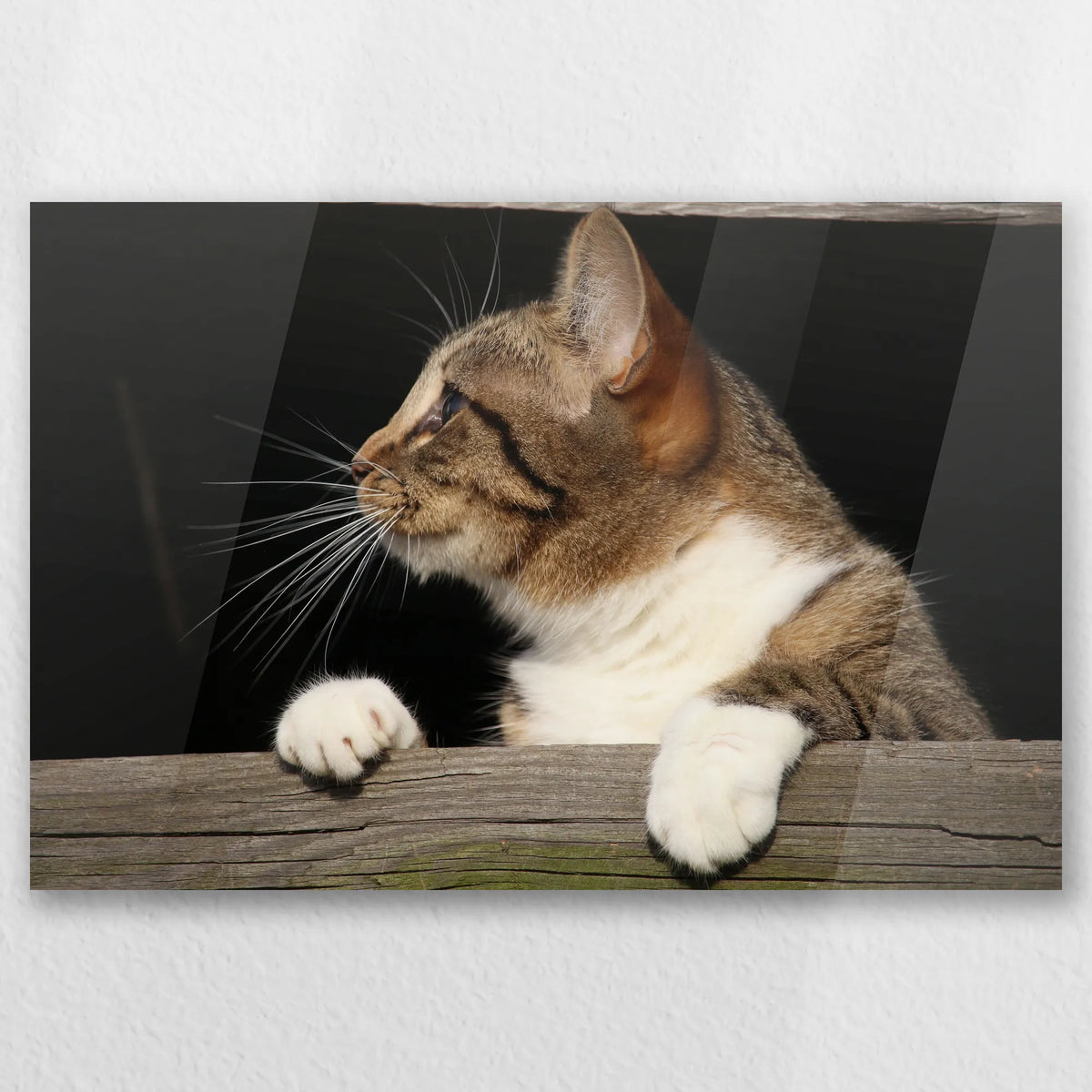 AC-060W040