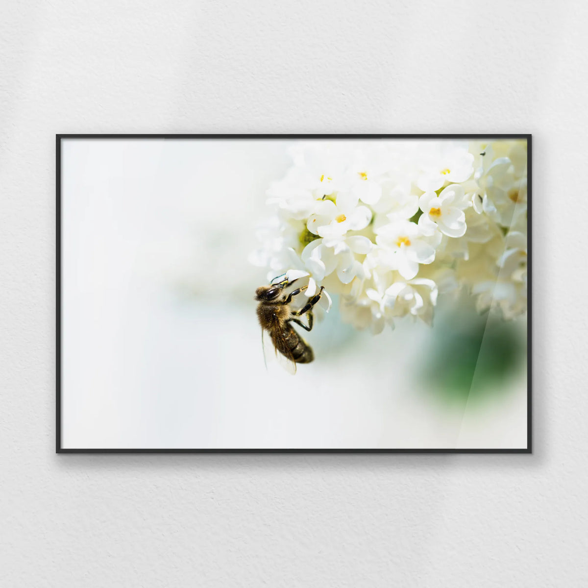 PB-093W062