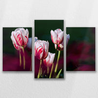 LW-090T060