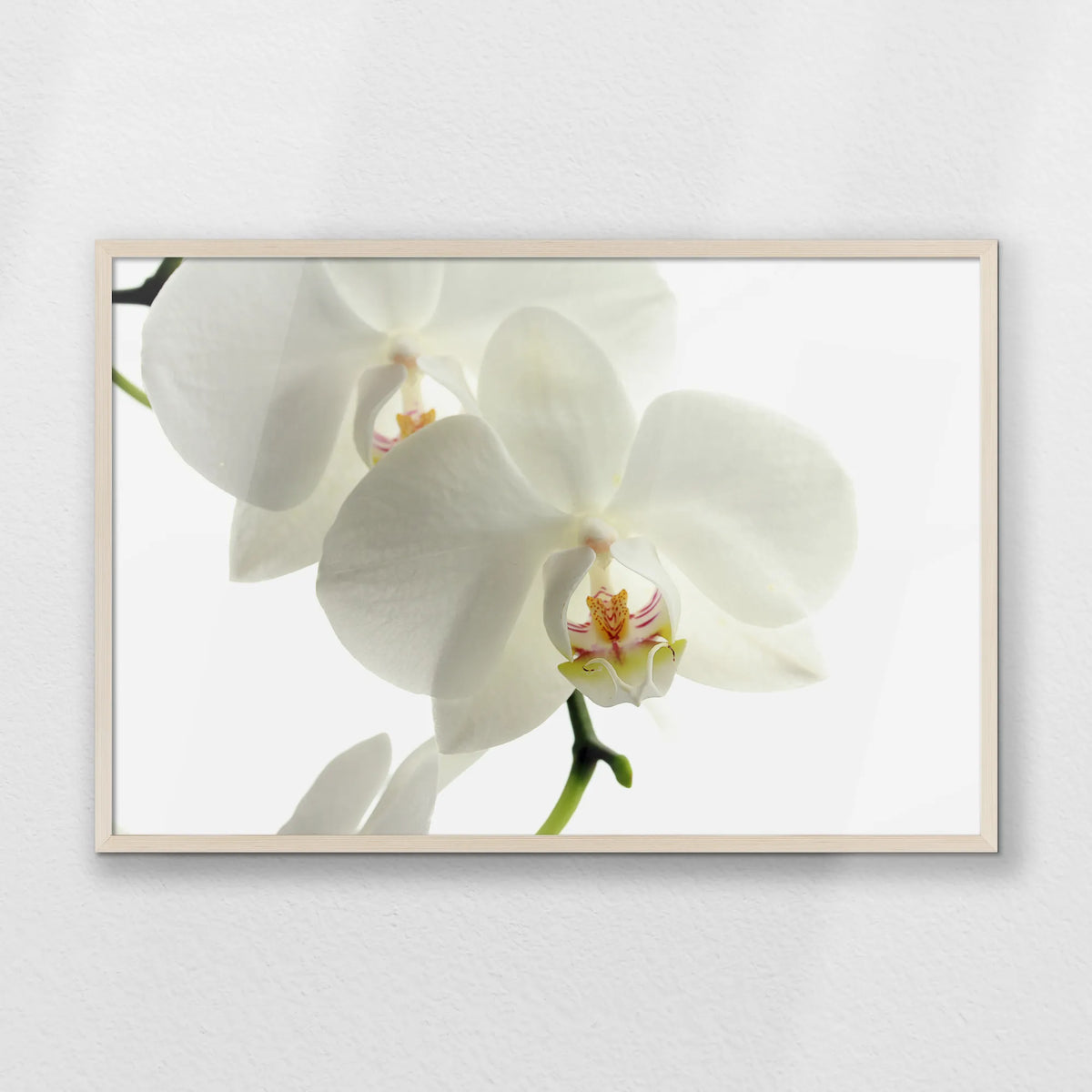 PN-093W062