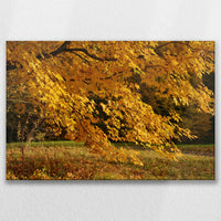 LW-090W060