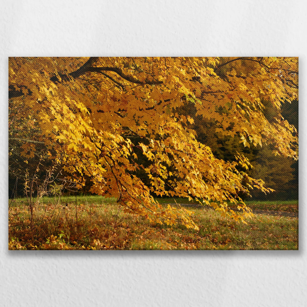 LW-090W060