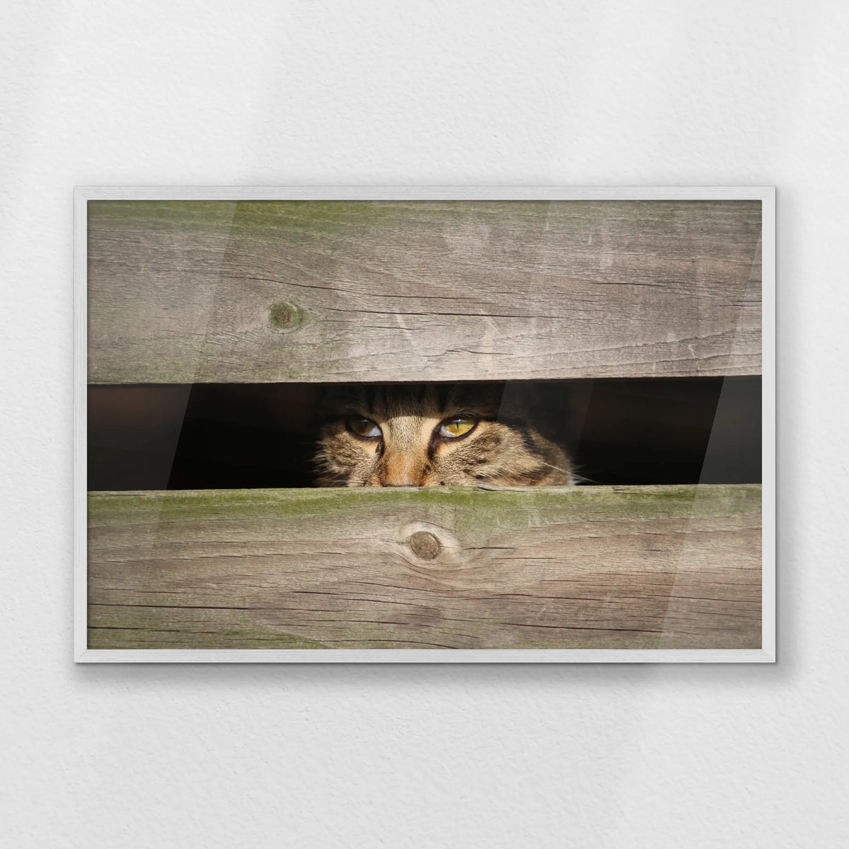 PW-093W062