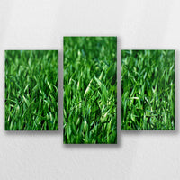 LW-060T040