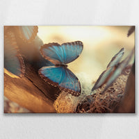 LW-090W060