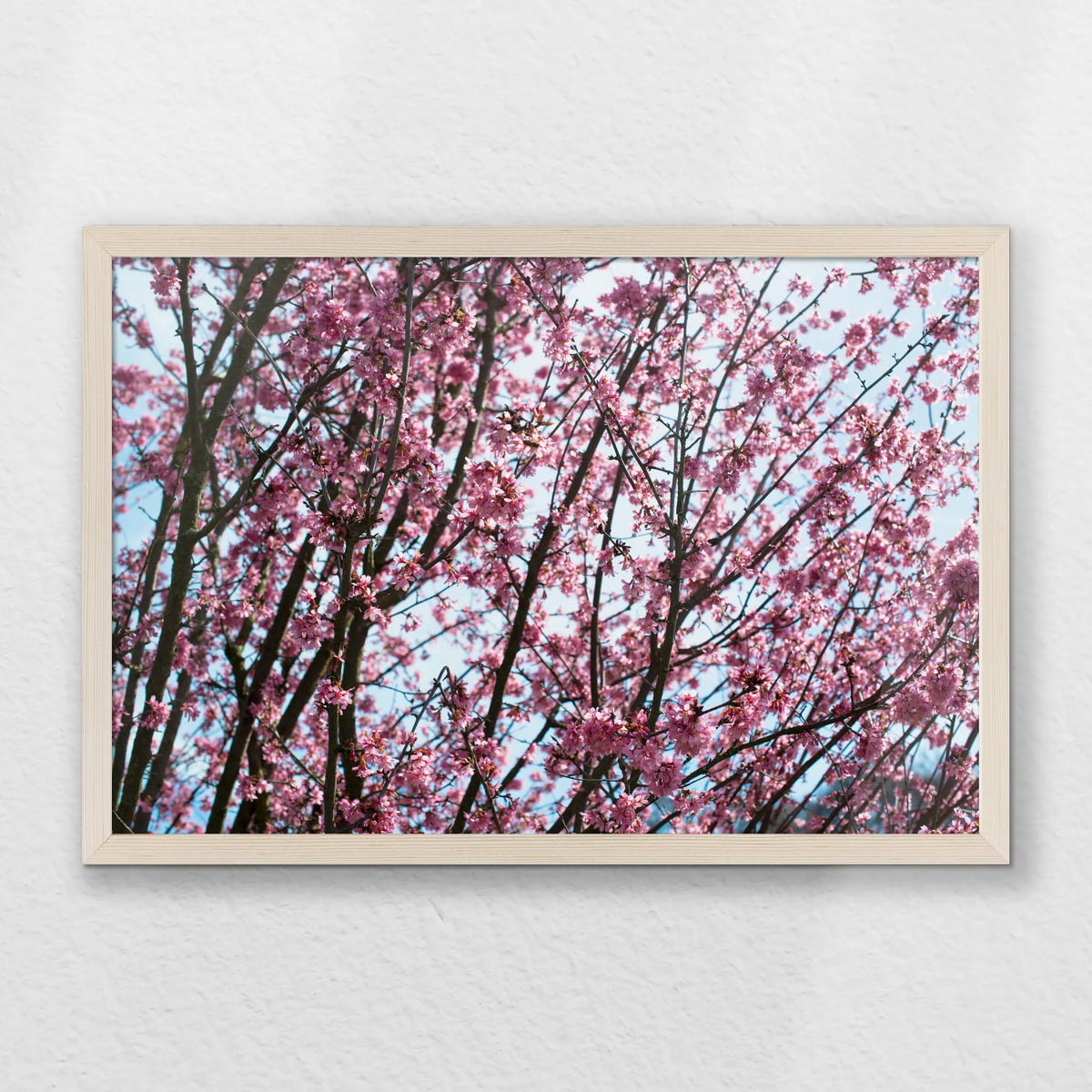 PN-060W040