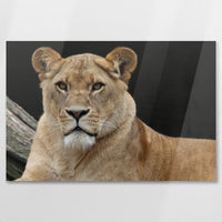 AC-090W060