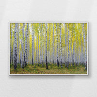 LWW120W080