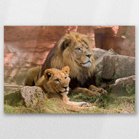 AL-045W030