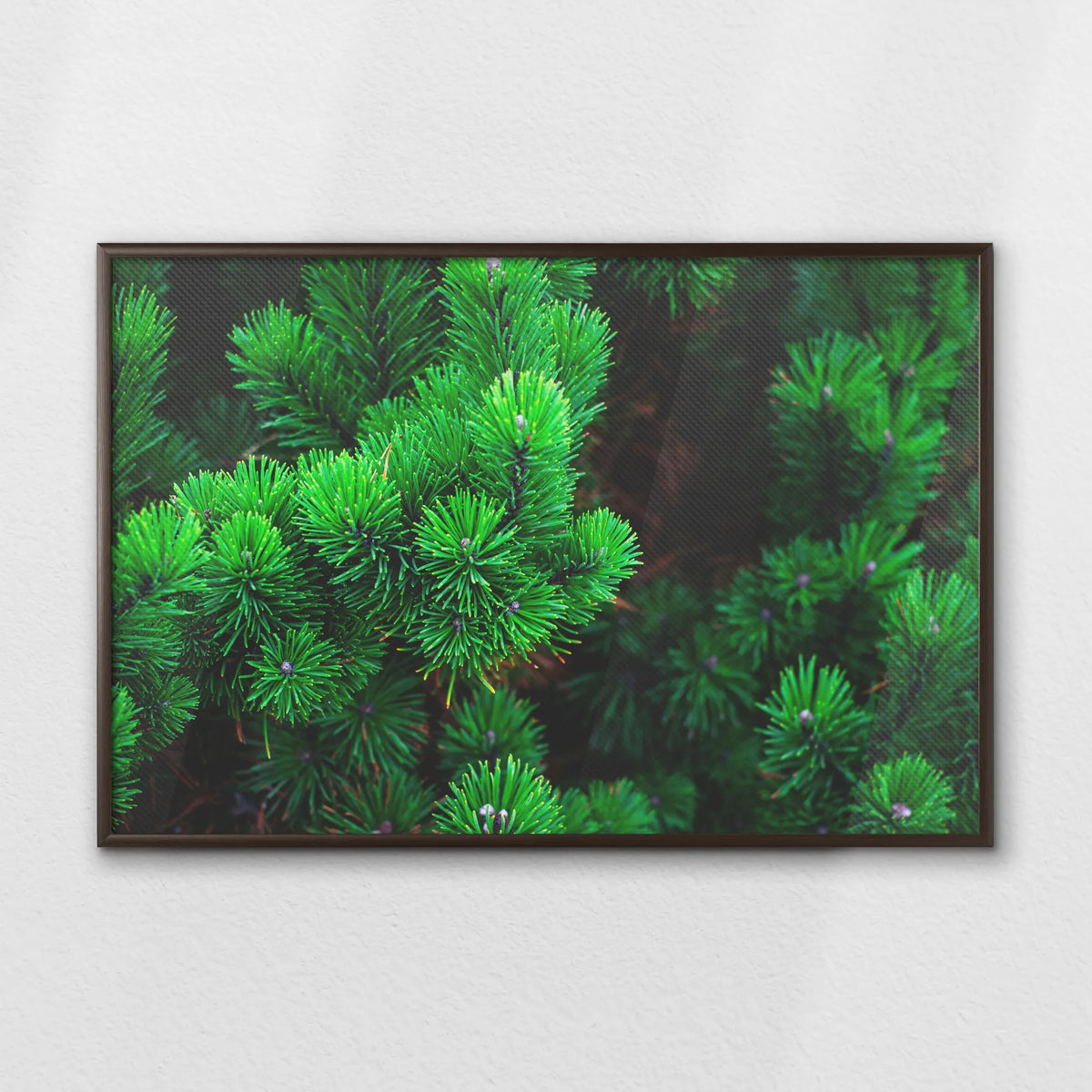 LWN100W070