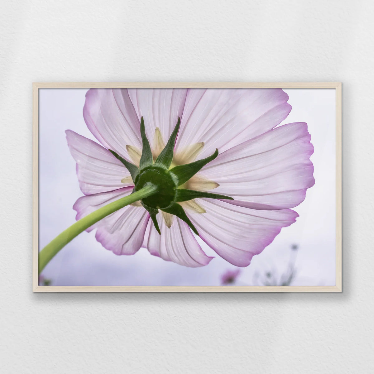 PN-093W062