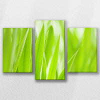 LW-060T040