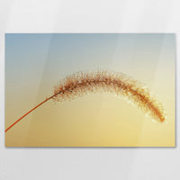 AL-120W080
