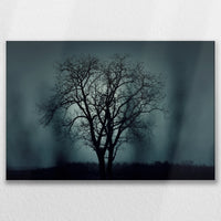 LW-075W050