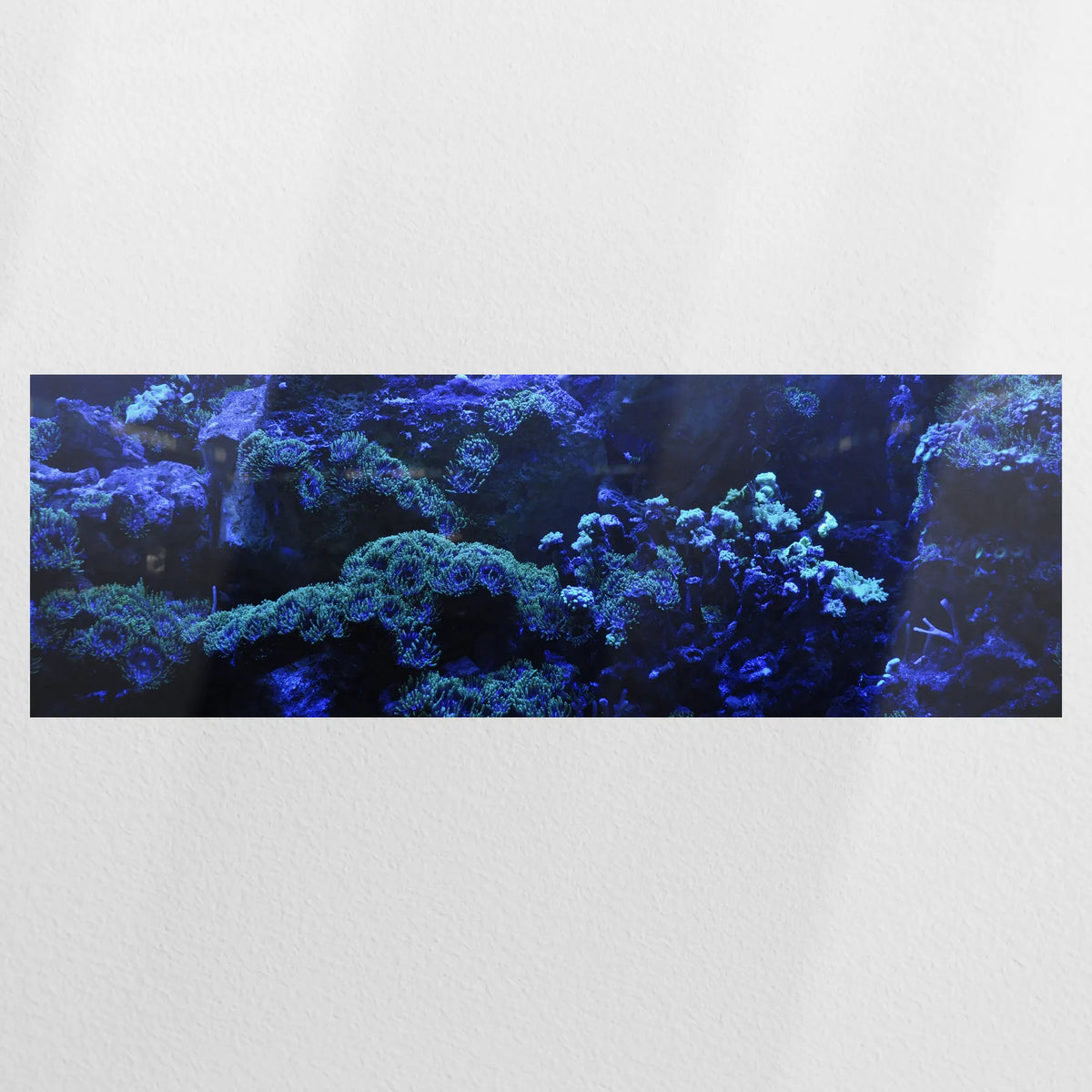 PO-120P040