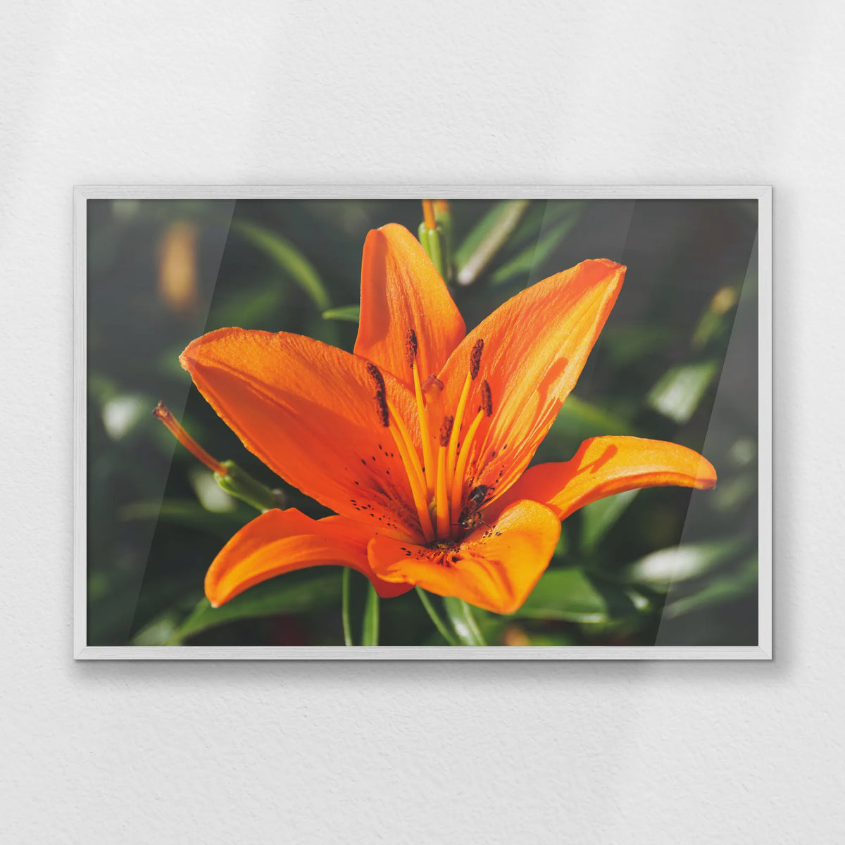 PW-093W062
