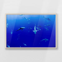 PN-093W062