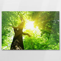 AL-075W050
