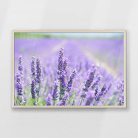 PN-093W062