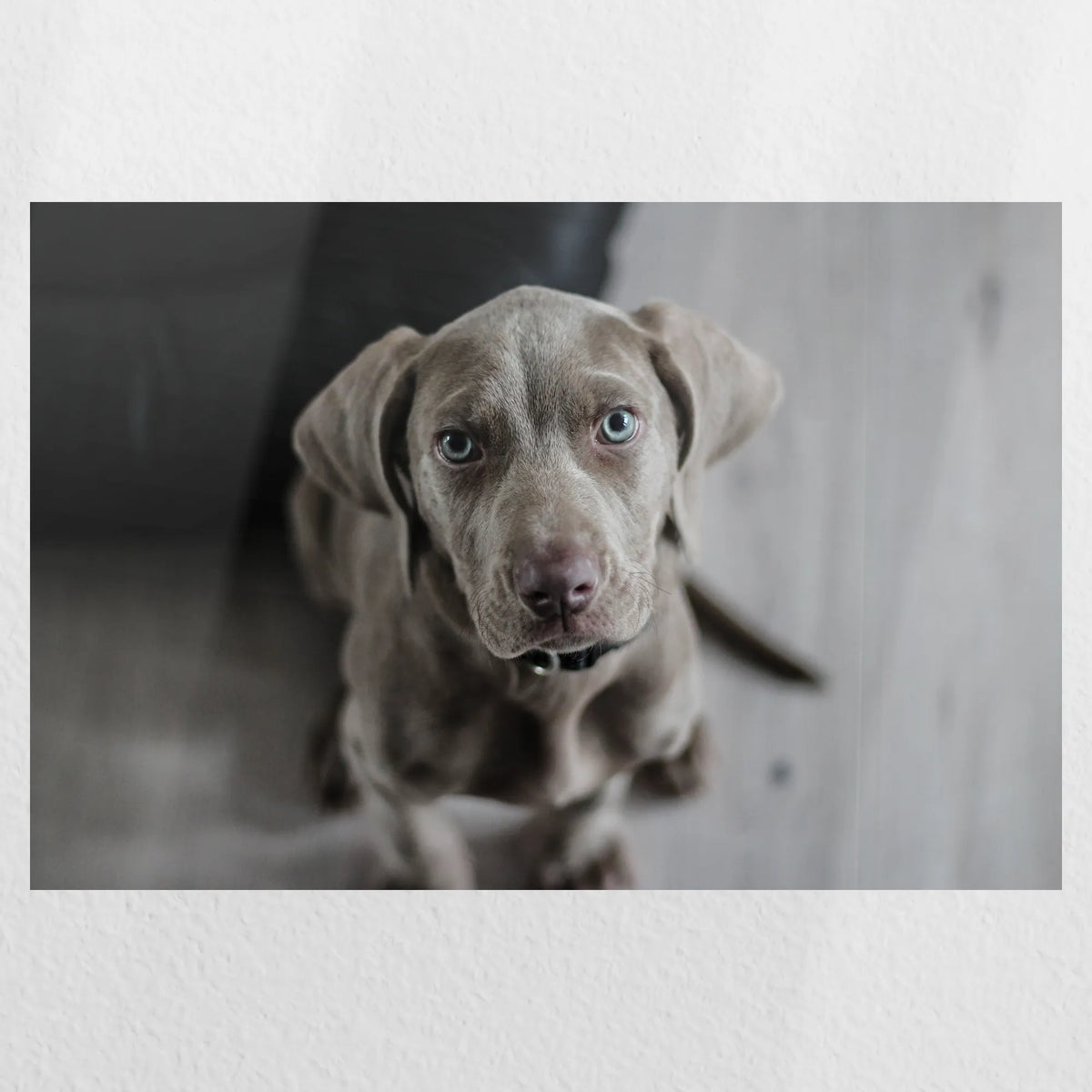 PO-060W040
