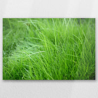 AC-060W040