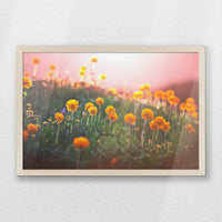 PN-060W040