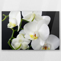 AC-060W040