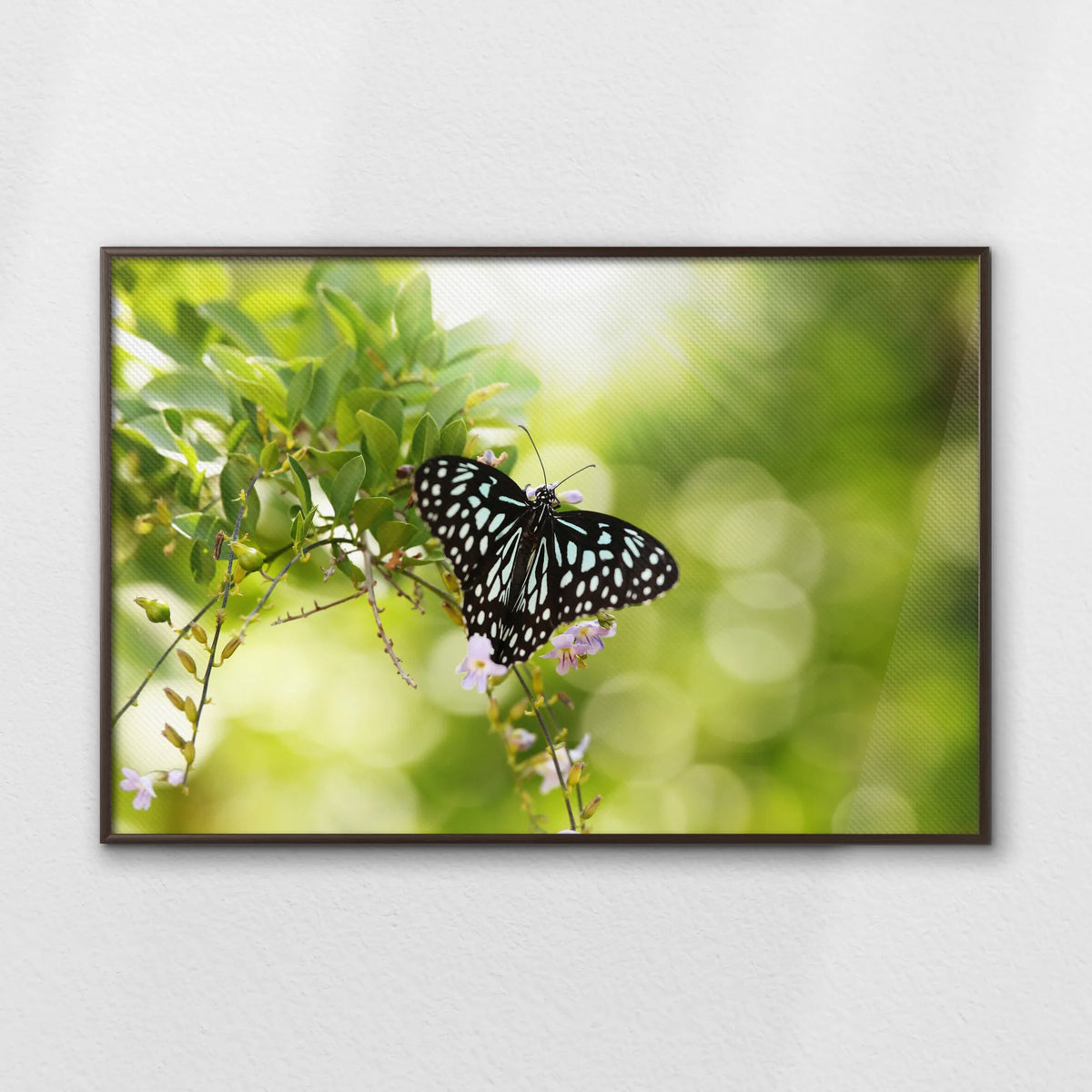 LWN120W080