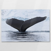 AL-075W050