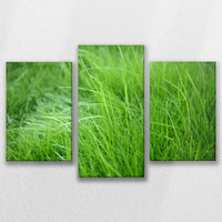 LW-090T060