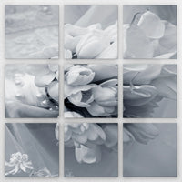 LW-210Z210