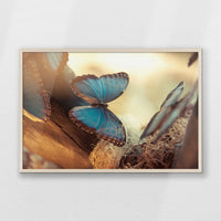 PN-093W062